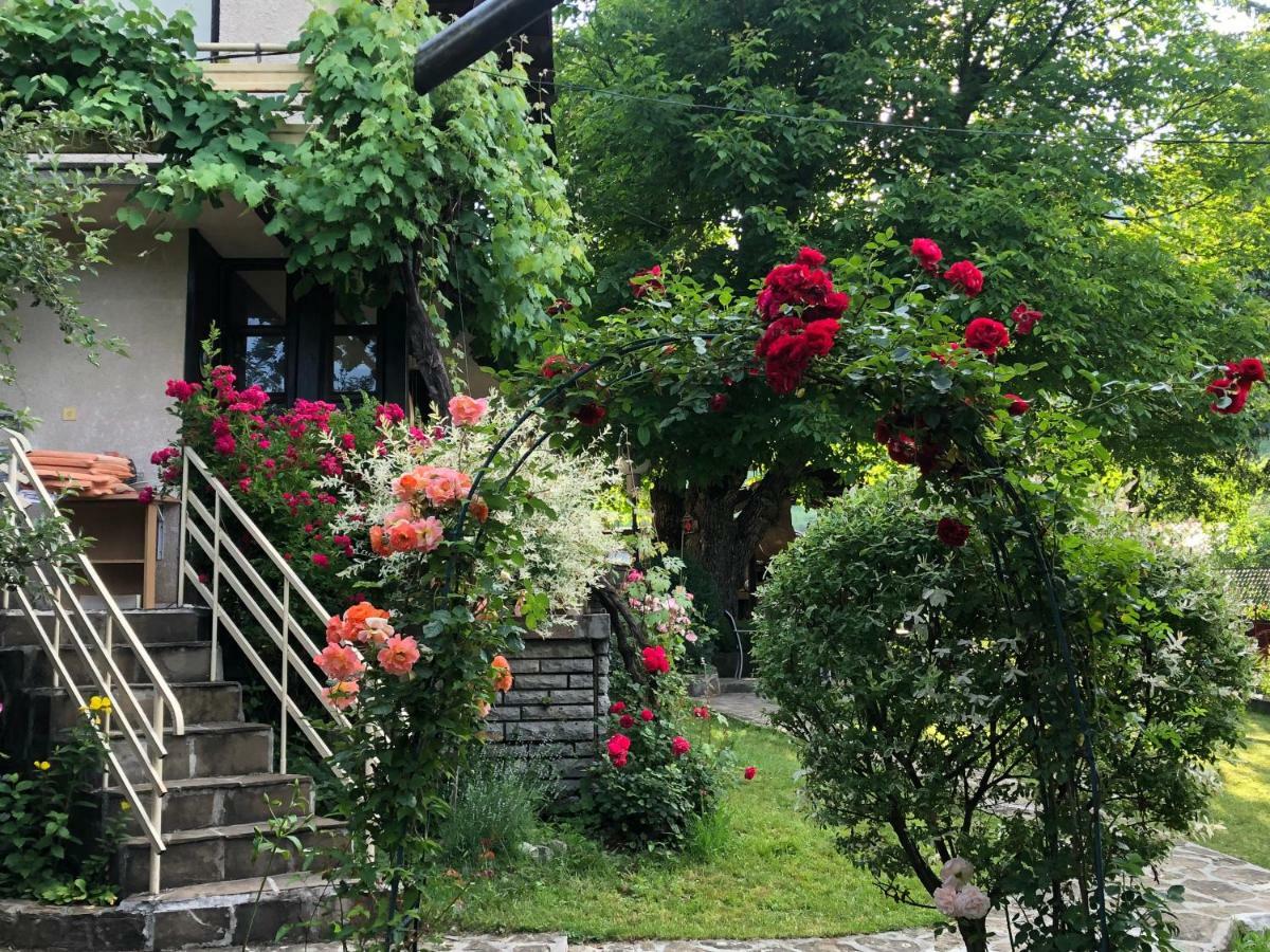 Luylyana Guesthouse Ribarica Exterior foto